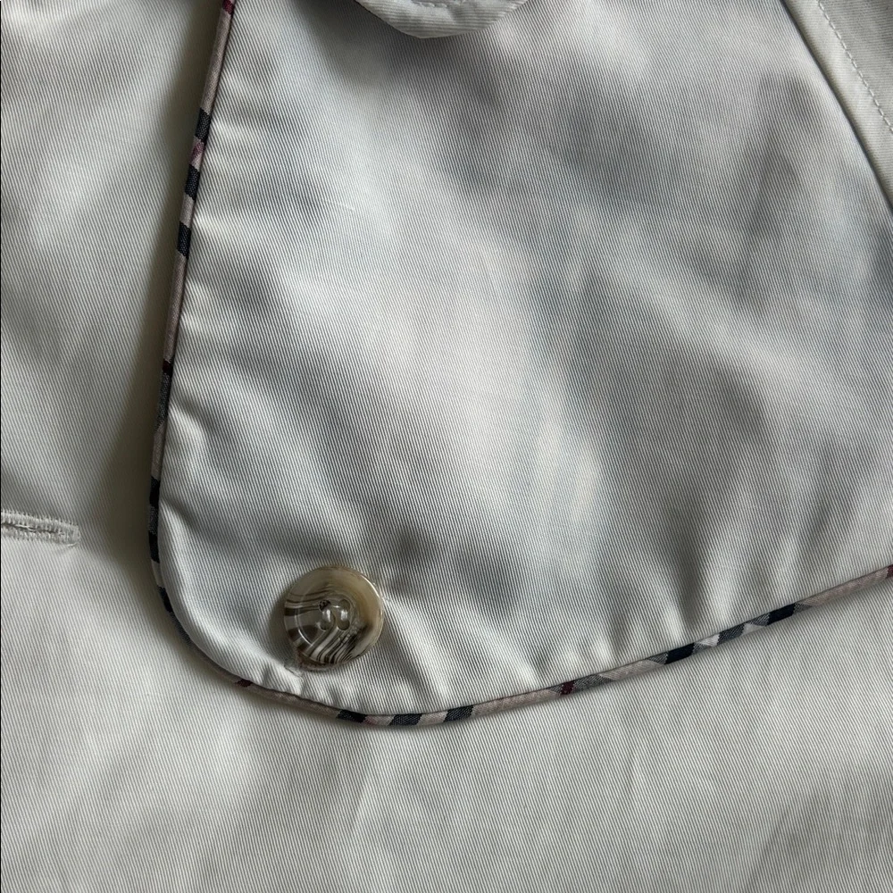 Burberry stylish pea